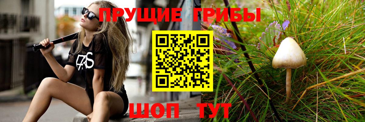 Псилоцибиновые грибы мицелий Владикавказ
